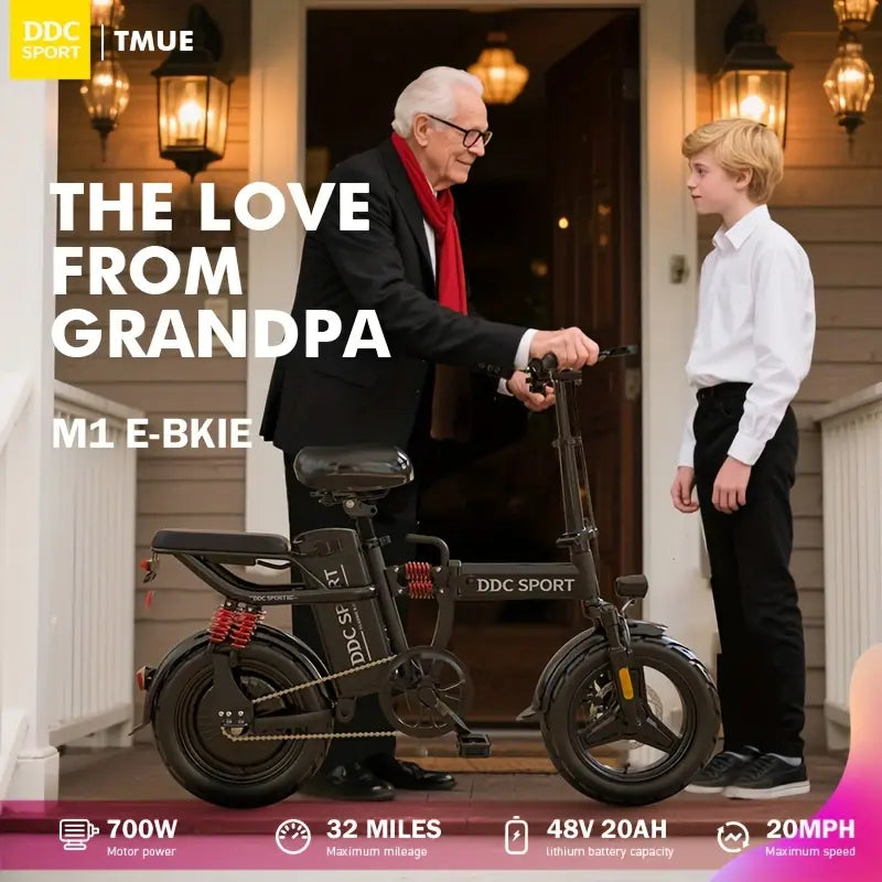 adult electric bike